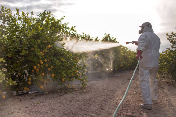 Best Wasp Removal Services  in Charlotte Hall, MD