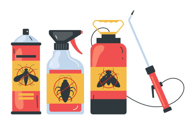 Reliable Charlotte Hall, MD Pest Control Solutions