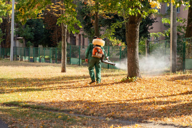 Best Rodent Control Near Me  in Charlotte Hall, MD